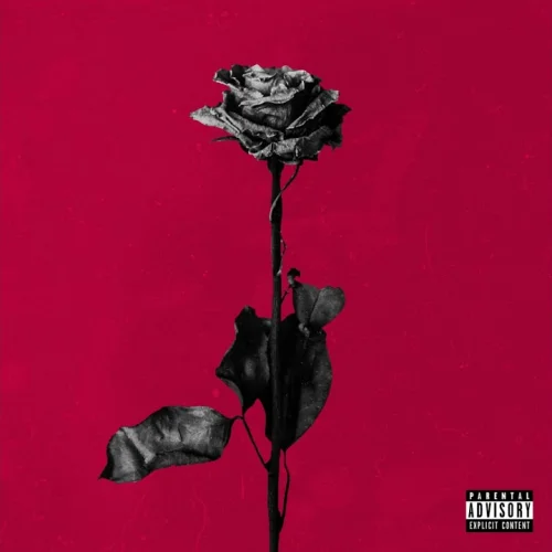 90210 lyrics by Blackbear songs cover