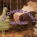 Amazing cover image by Rex Orange County