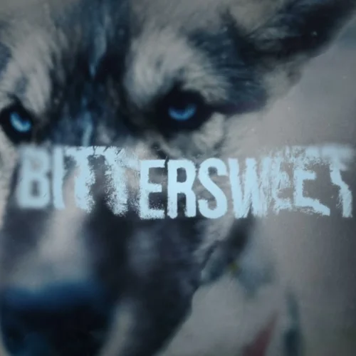 Bittersweet lyrics by Gunna songs cover
