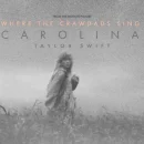 Carolina cover image by Taylor Swift