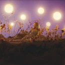 Dance Alone cover image by Sia