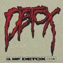 Detox cover image by Lil Baby