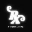 Die For My Bitch cover image by Role Model