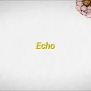 Echo cover image by Maroon 5