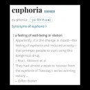 Euphoria cover image by Kendrick Lamar