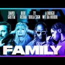 Family cover image by David Guetta