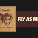 Fly as Me cover image by Silk Sonic