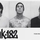 Fuck Face cover image by blink-182