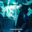 Hehehe cover image by Rema