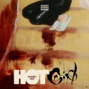 Hot Girl cover image by Charli XCX