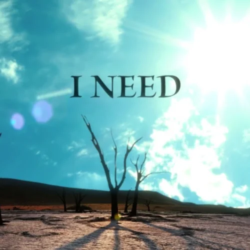 I Need lyrics by Ann Marie songs cover