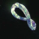 Infinity Sign cover image by Coldplay