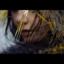 Lionsong cover image by Björk