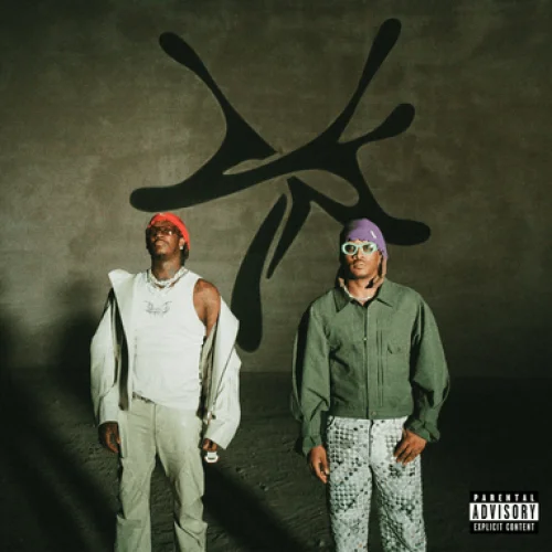 Money On Money lyrics by Young Thug songs cover