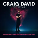 My Heart’s Been Waiting For You cover image by Craig David