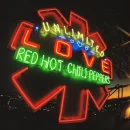 Not the One cover image by Red Hot Chili Peppers