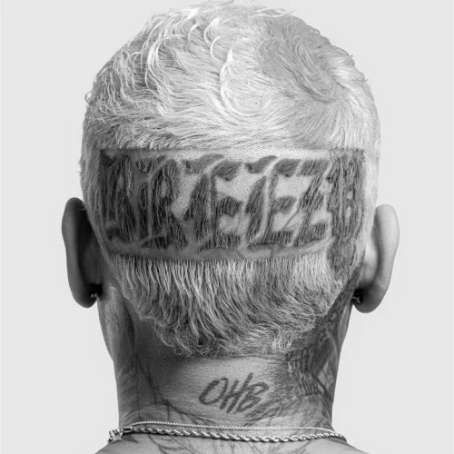 On Some New Shit lyrics by Chris Brown songs cover