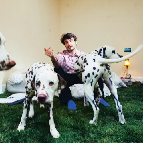 Open A Window lyrics by Rex Orange County songs cover