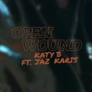 Open Wound cover image by Katy B