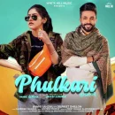 Phulkari cover image by Baani Sandhu