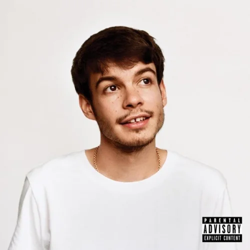 Pluto Projector lyrics by Rex Orange County songs cover