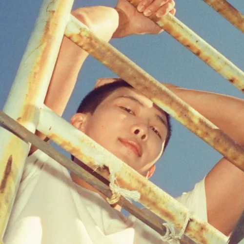 RM Discography