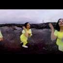 Stonemilker cover image by Björk