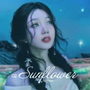 Sunflower cover image by Red Velvet