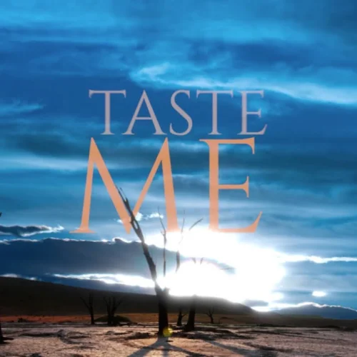 Taste Me lyrics by Ann Marie songs cover