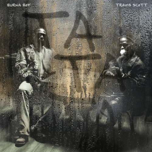 TaTaTa lyrics by Burna Boy songs cover