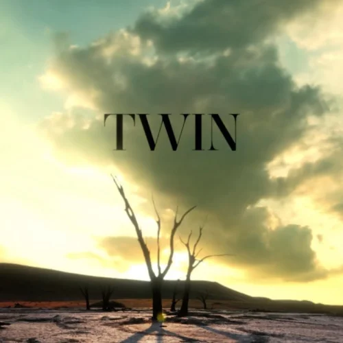 Twin lyrics by Ann Marie songs cover