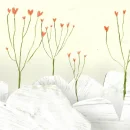 Valentine cover image by Laufey