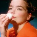 Venus as a Boy cover image by Björk