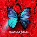 Visiting Hours cover image by Ed Sheeran