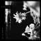 Wallflowers by Jinjer album cover
